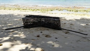 traditionelle Fischreuse