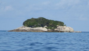 Coco Island