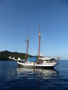 Sea Pearl