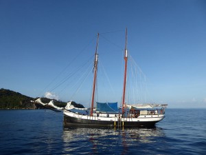 Sea Pearl