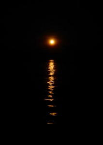 Vollmond