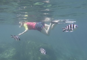 Coco Island Marine Park