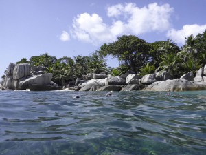 Coco Island