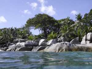 Coco Island