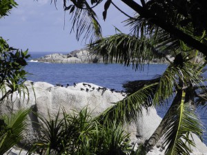 Coco Island