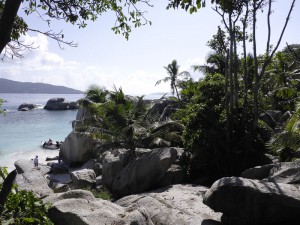 Coco Island