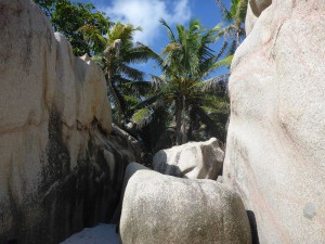 Coco Island