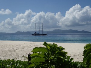 Sea Star vor Aride Island