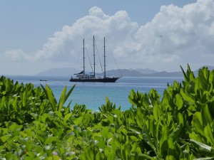 Sea Star vor Aride Island
