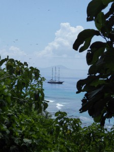Sea Star vor Aride Island