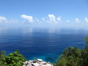 Ausblick vom "Hill"