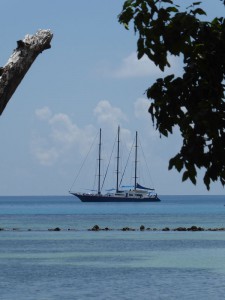 Sea Star