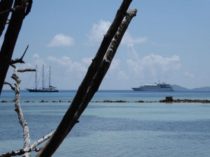 Sea Star und Crystal Esprit