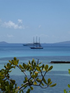 Sea Star und Crystal Esprit