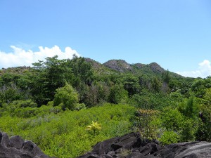 Blick auf den Berg