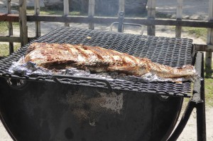 Jobfish am Grill