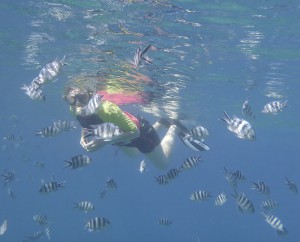 Carmen im Fischschwarm