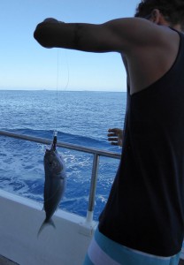 Catch of the Day