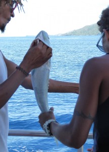 Catch of the Day