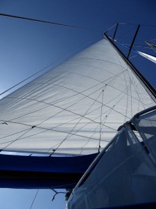 Sea Star unter Segeln
