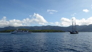 Pegasos und Sea Pearl