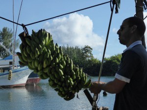 Bananen-Indikator für die nächste Reise