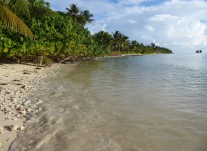 Anse Reunion