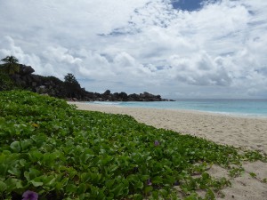 Grande Anse