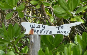 zur Petite Anse
