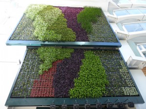 Living Wall