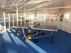Tischtennisplatten