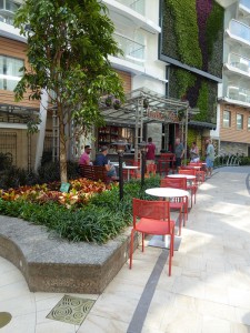 Trellis Bar