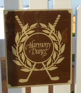 Harmony Dunes