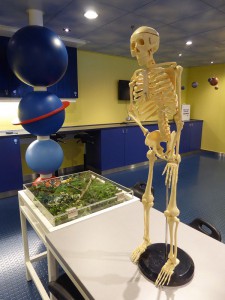 Adventure Science Lab