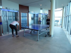 Tischtennis-Platten