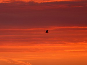 Sonnenuntergang