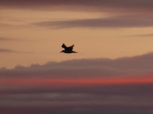 Sonnenuntergang