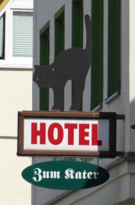 Sind hier Katzen erwünscht?