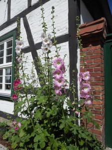 Fachwerkhaus mit Blumen