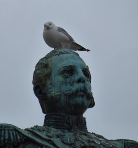 freche Möwe