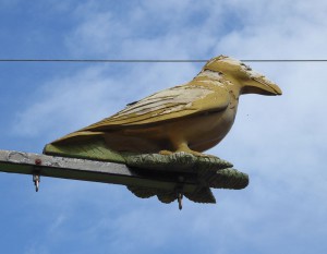 "seltener" Vogel