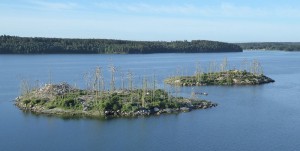 Kormoraninsel