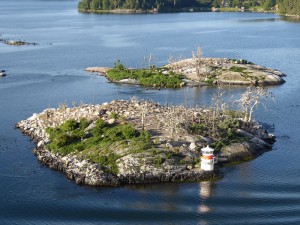 Kormoraninsel