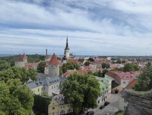 Blick über die Altstadt