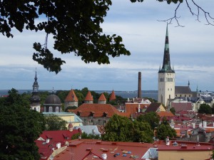 Blick über die Altstadt