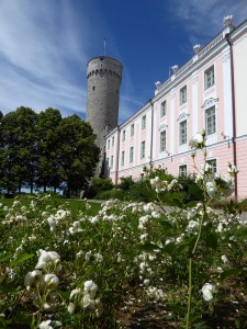Toompea Schloss und Pikk Hermann