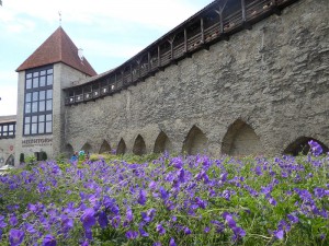 Jungfrauenturm