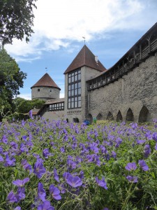 Jungfrauenturm