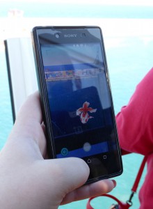Es gibt Pokemons ;-)