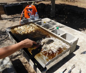Grillen auf der Plancha